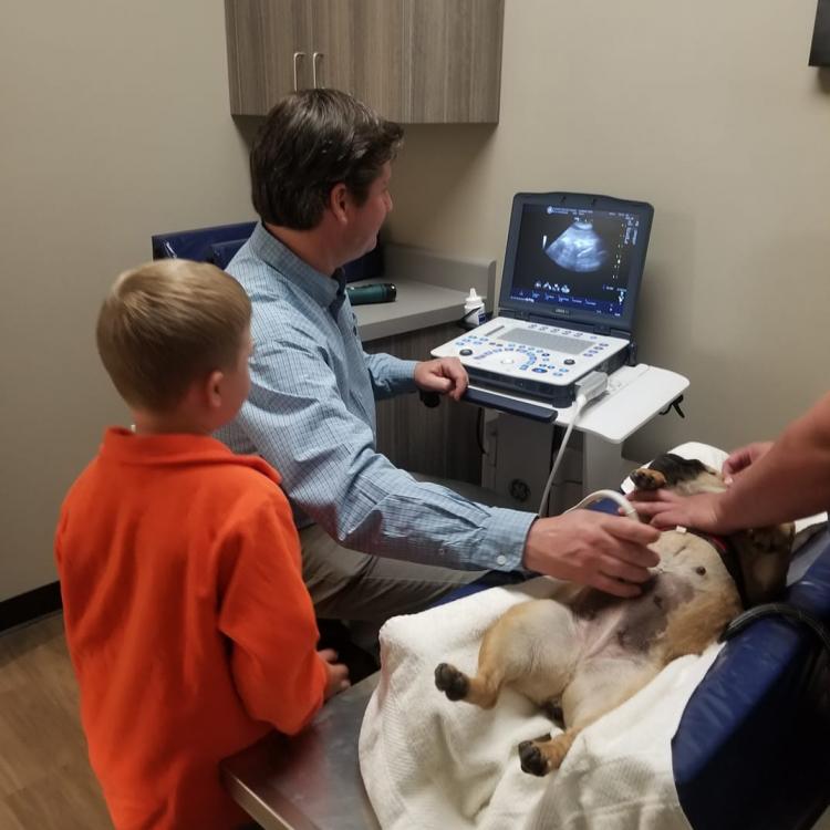 Creekside Veterinary Hospital Templeton, CA