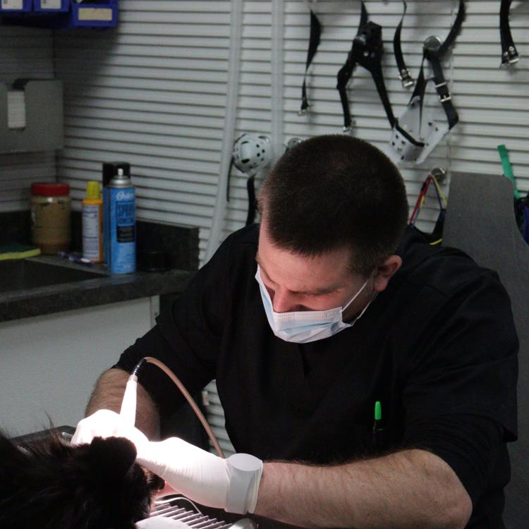 practice gallery photo