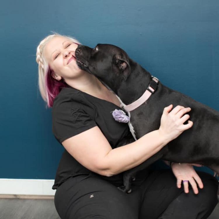 Veterinary Dentistry And Oral Surgery Of Ohio Columbus, OH