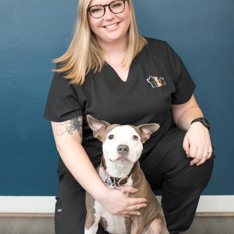 Veterinary Dentistry And Oral Surgery Of Ohio Columbus, OH