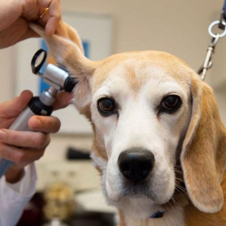practice gallery photo