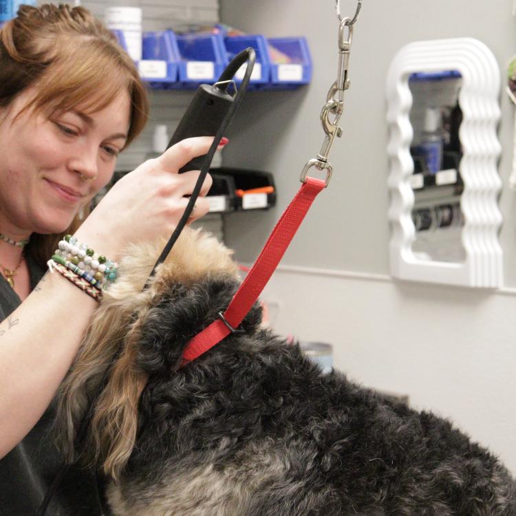 practice gallery photo