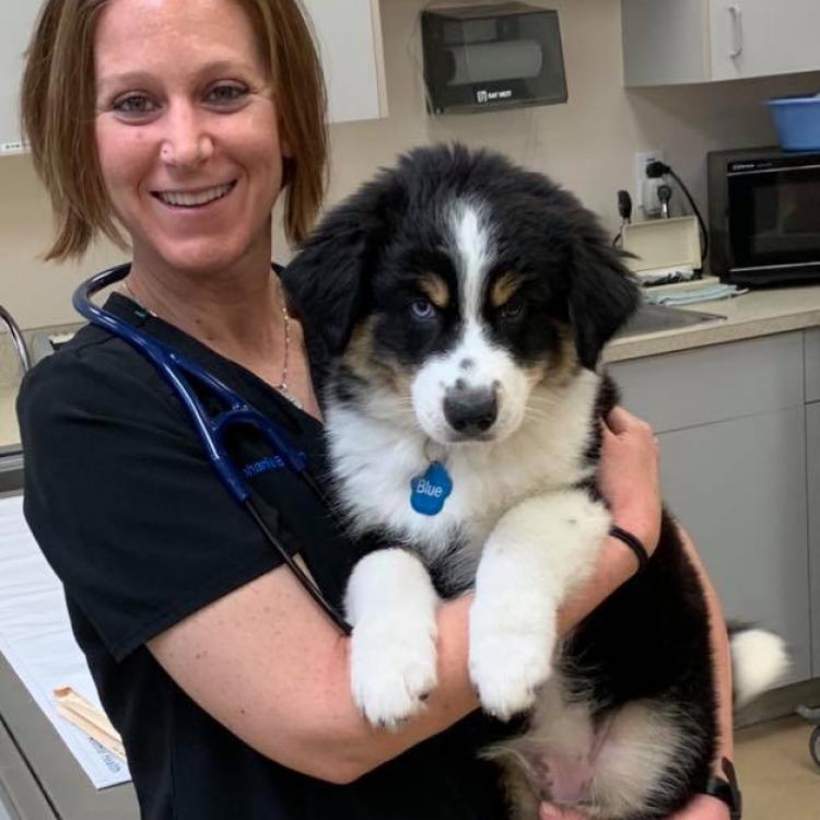 Cocoa Veterinary Hospital Cocoa, FL