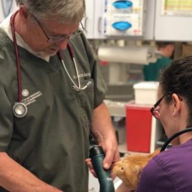 Central Texas Veterinary Specialty &amp; Emergency Hospital