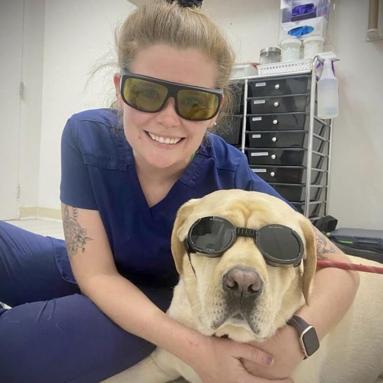 Vet For Pet Animal Hospital East Hartford, CT