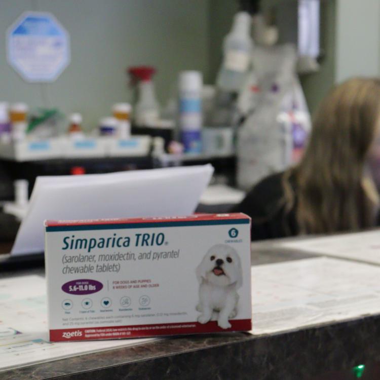 practice gallery photo