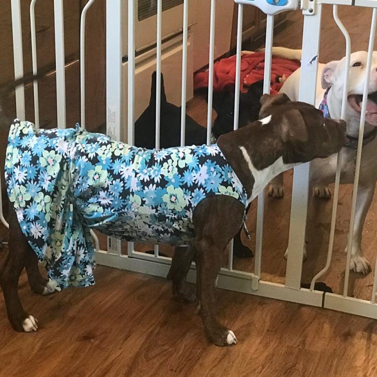 Fredonia Veterinary Clinic Fredonia, WI