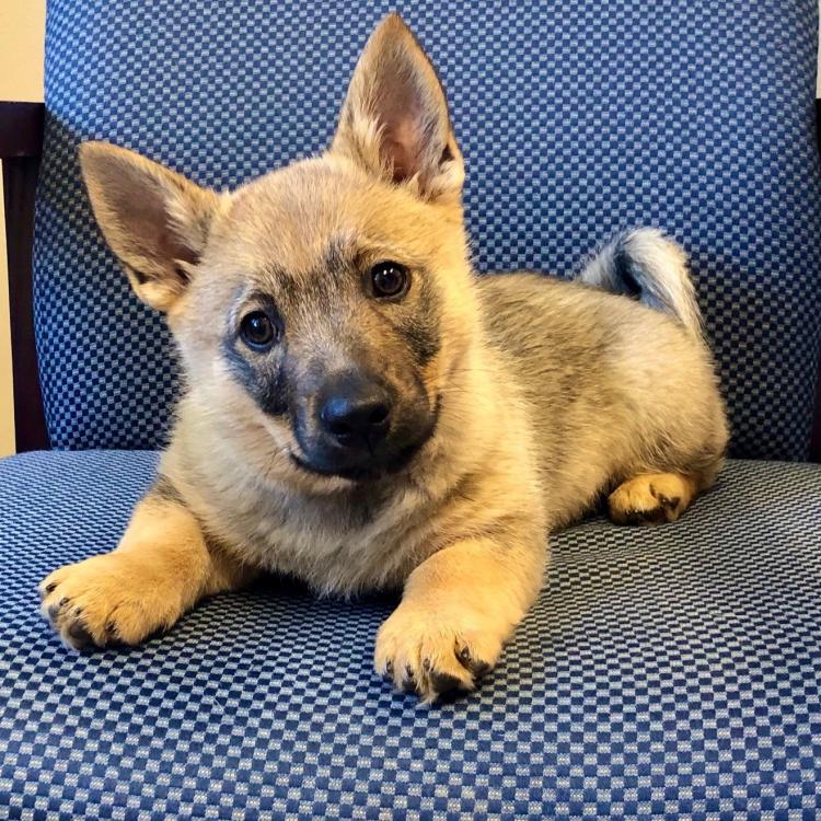 Fredonia Veterinary Clinic Fredonia, WI