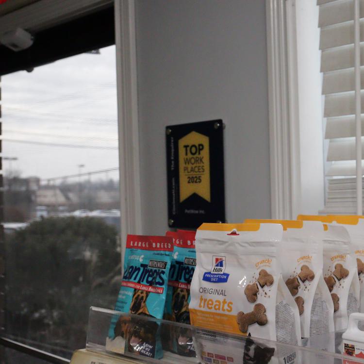 practice gallery photo