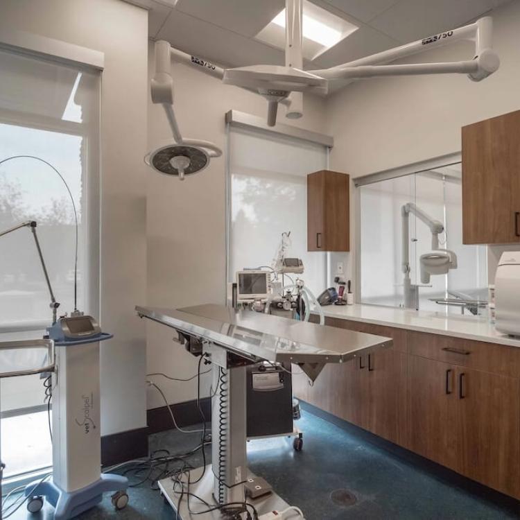 practice gallery photo