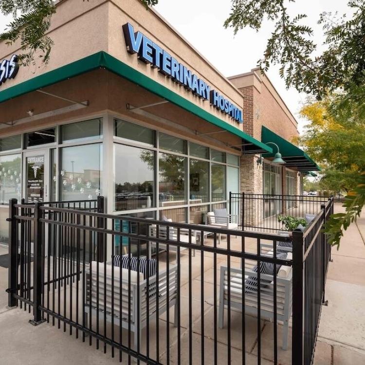 practice gallery photo