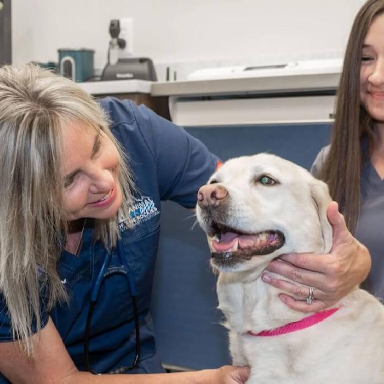 practice gallery photo