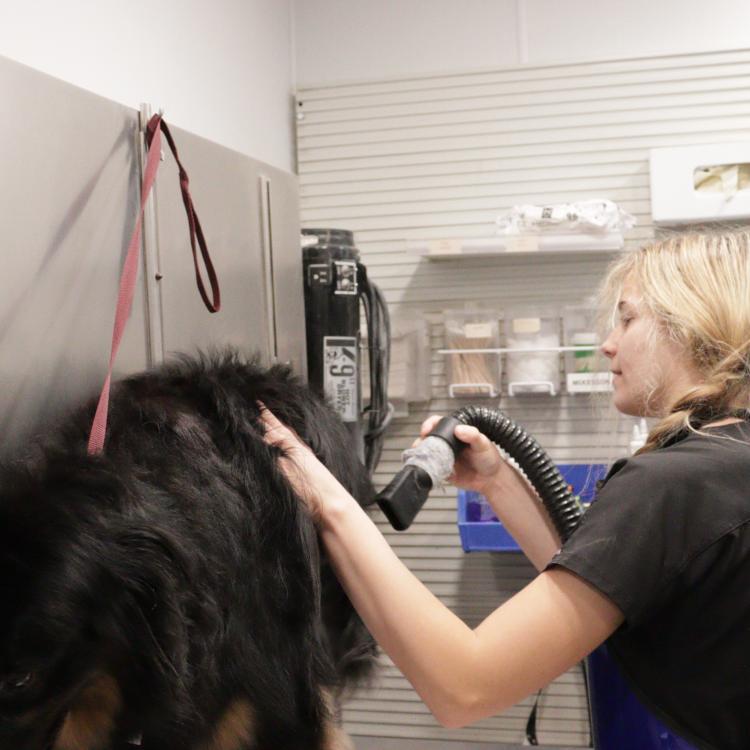 practice gallery photo