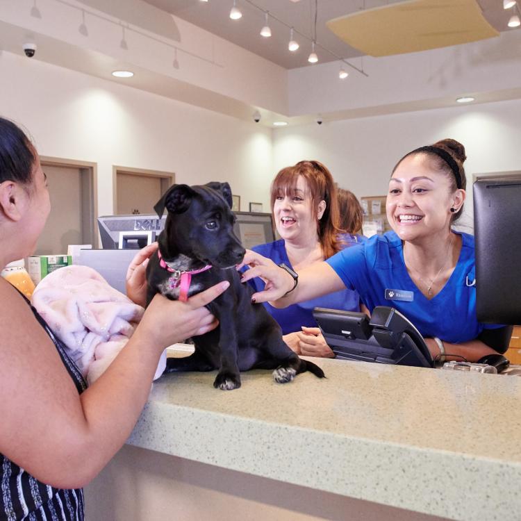 Pet Hospitals of Hawaii Wahiawa Pet Hospital Wahiawa, HI