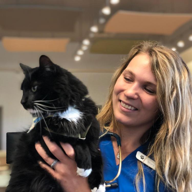 Pet Hospitals of Hawaii Wahiawa Pet Hospital Wahiawa, HI