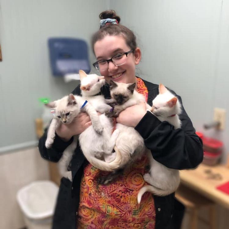 Arcola Animal Health Care Center Arcola Il