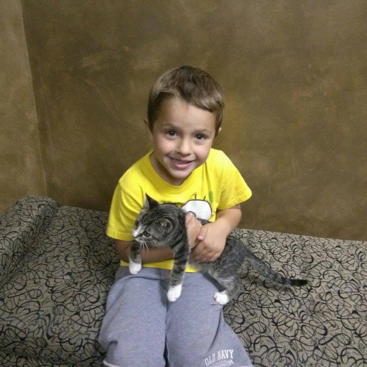 Animal Medical Center – Orland Park, IL Animal Medical Center – Orland Park, IL