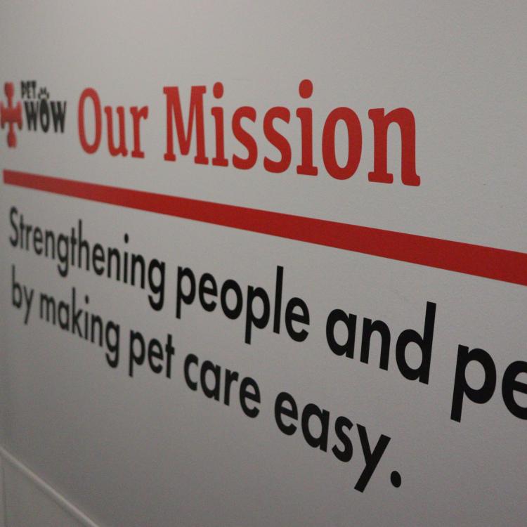 practice gallery photo