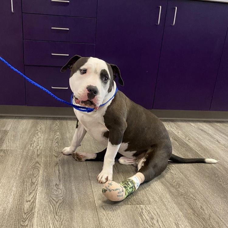 practice gallery photo