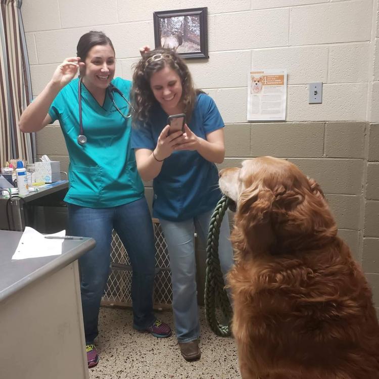 Karns Animal Clinic Knoxville, TN