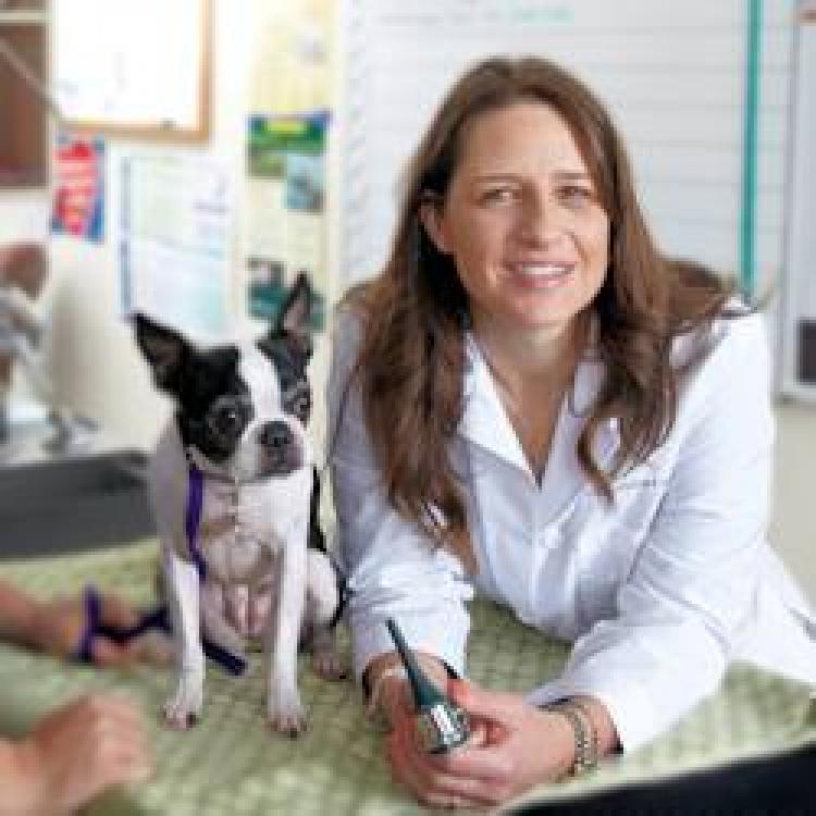 Companion Veterinary Hospital Lacey, WA