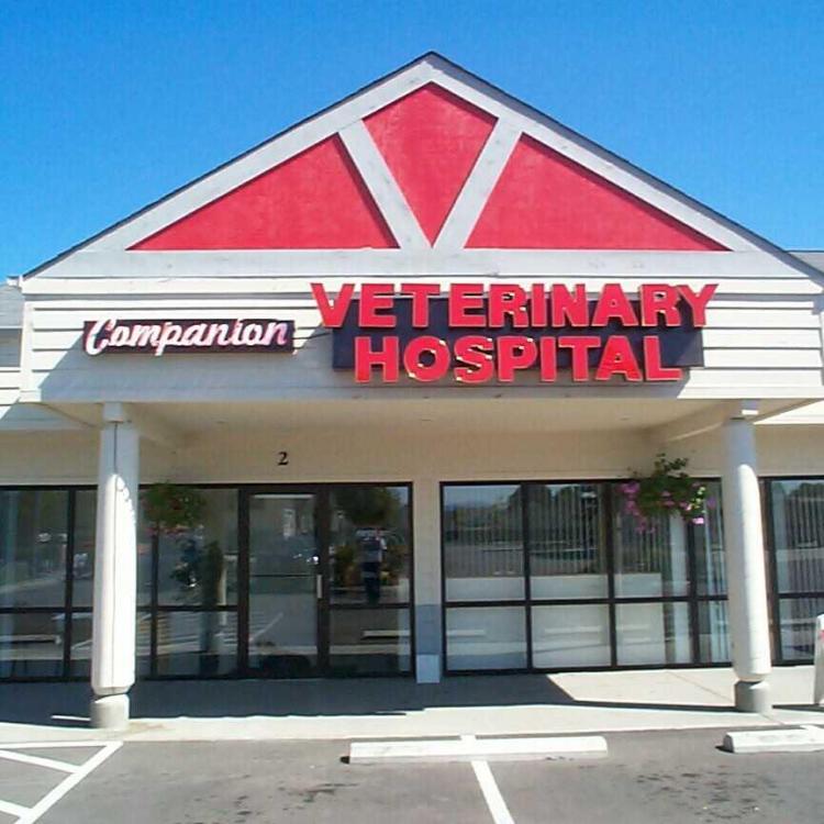 Companion Veterinary Hospital Lacey, WA