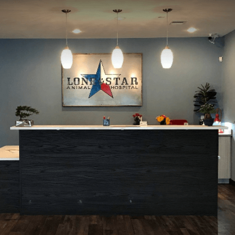 Lone Star Animal Hospital Dripping Spring, TX