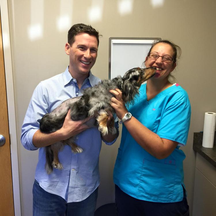 Veterinary Specialty Services Manchester, MO