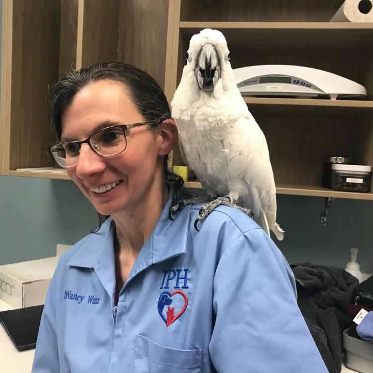 Intermountain Pet Hospital Middleton Middleton, ID