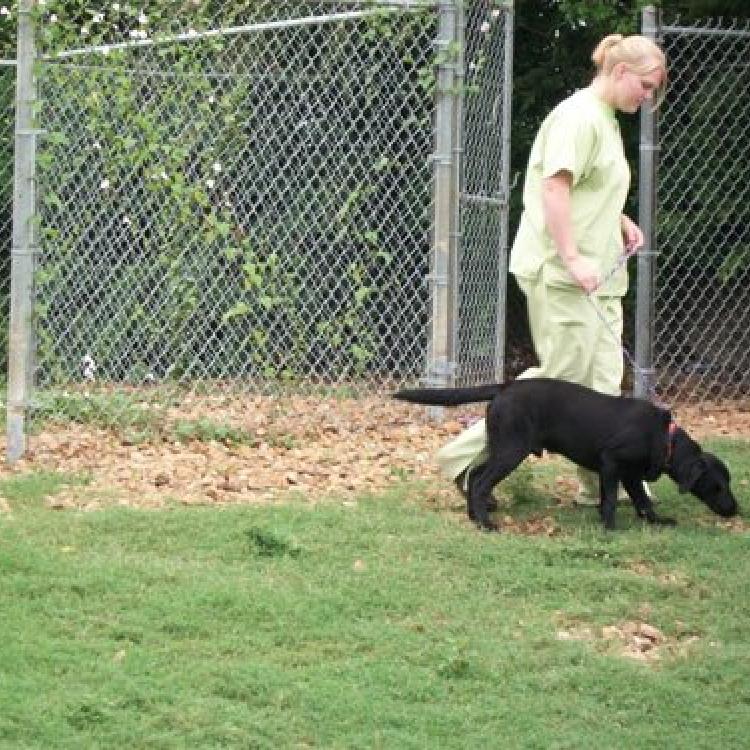 Sawmill Animal Hospital PA – Laurel, MS Sawmill Animal Hospital PA – Laurel, MS