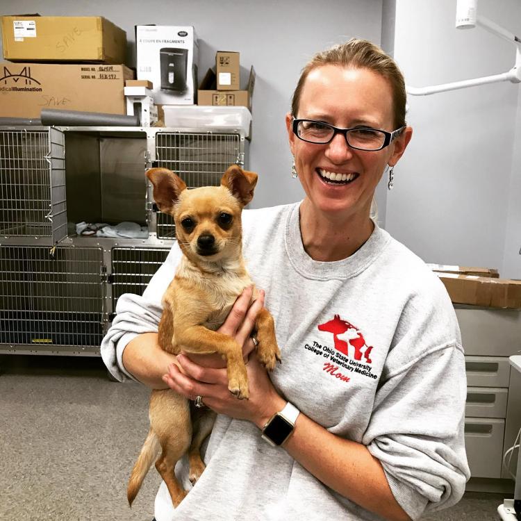 Independence Pet Hospital Monroe, OH