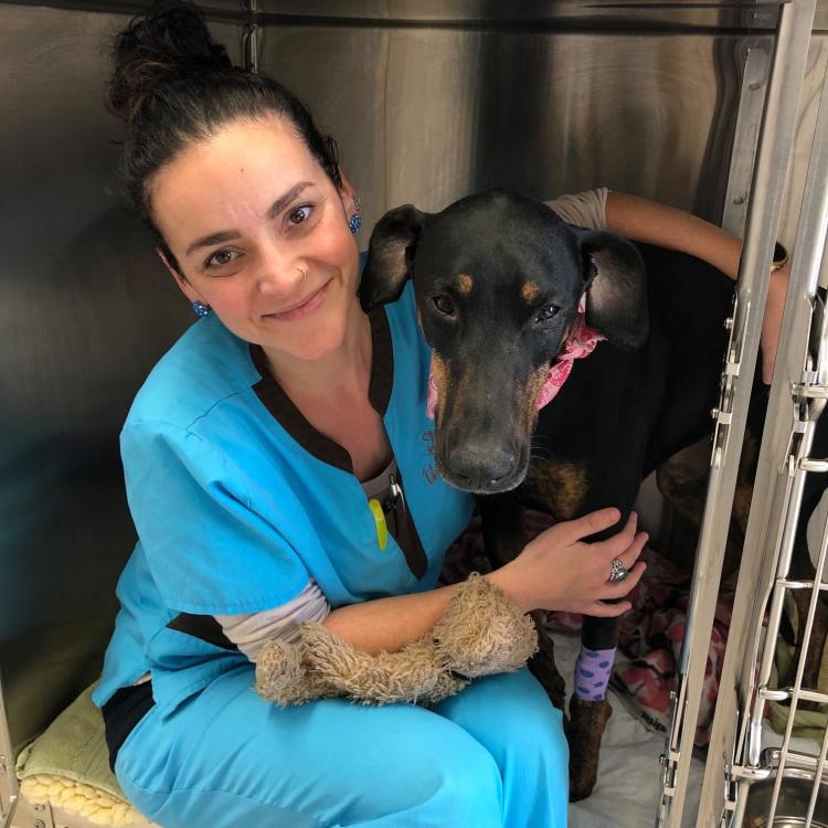 Stonecliff Veterinary Surgical Center of Vermont Montpelier, VT