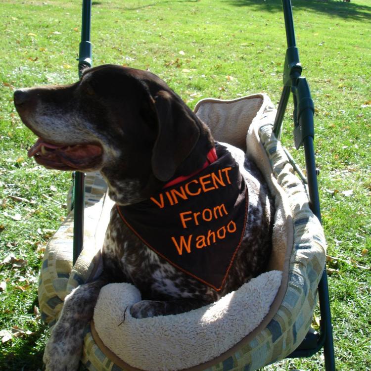 Prairie View Animal Hospital Wahoo, NE