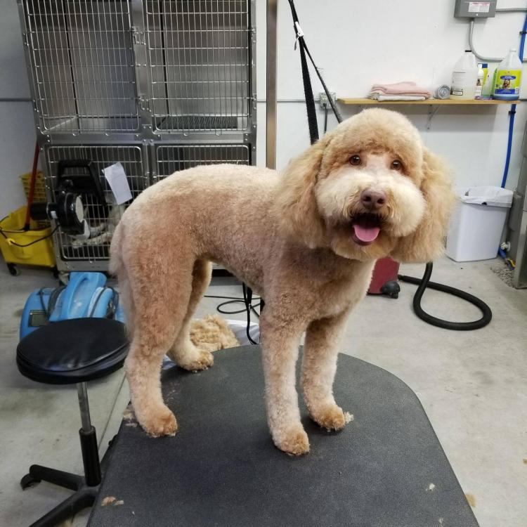 Prairie View Animal Hospital Wahoo, NE