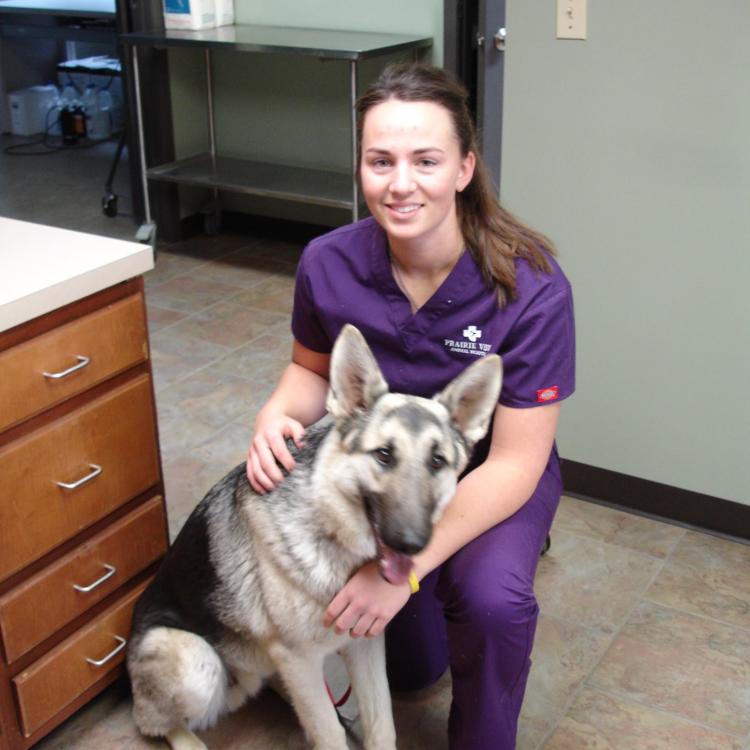 Prairie View Animal Hospital Wahoo, NE