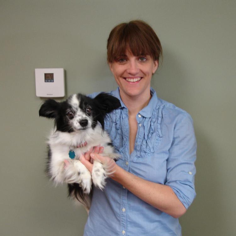 Prairie View Animal Hospital Wahoo, NE