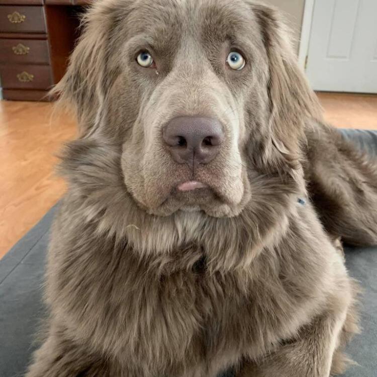 practice gallery photo