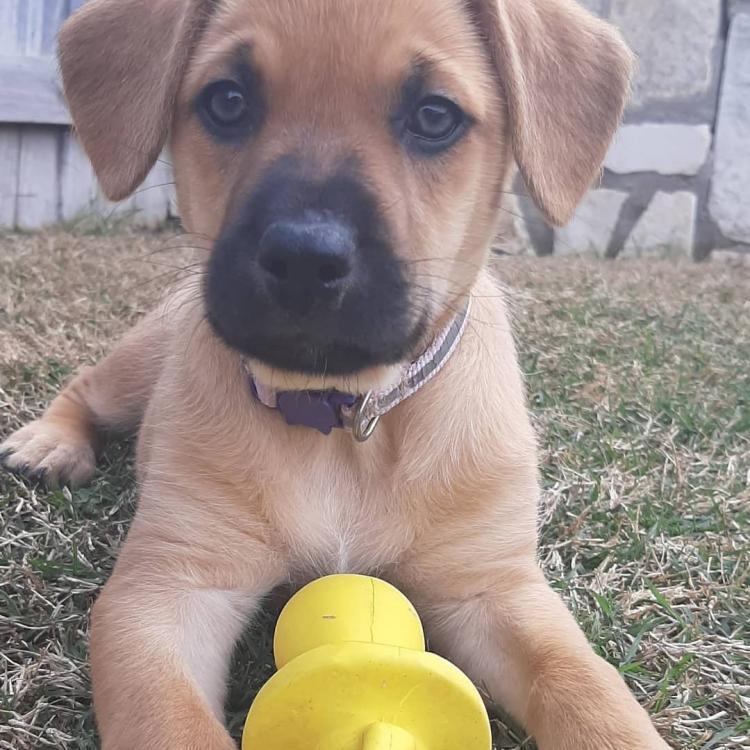 practice gallery photo