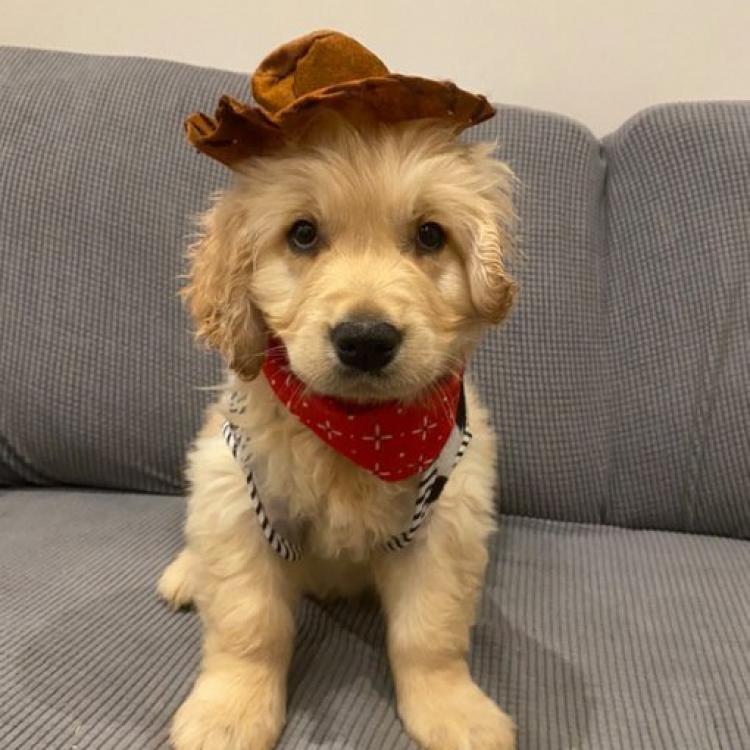 practice gallery photo