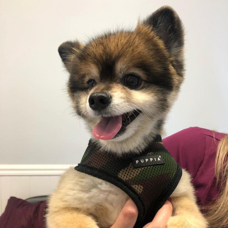 practice gallery photo