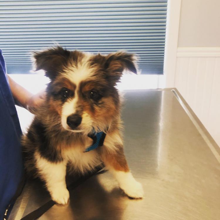 practice gallery photo