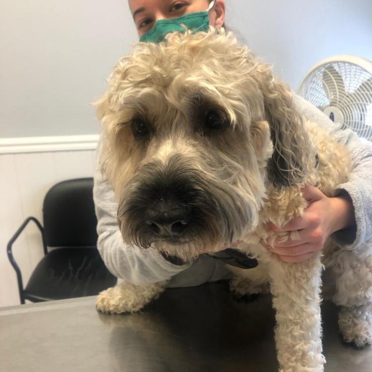 practice gallery photo