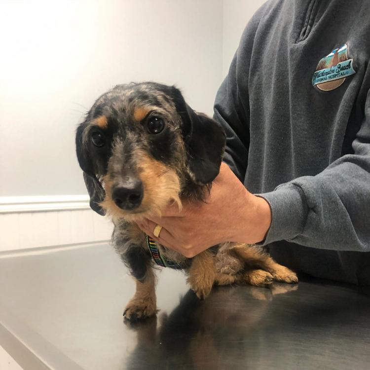 practice gallery photo