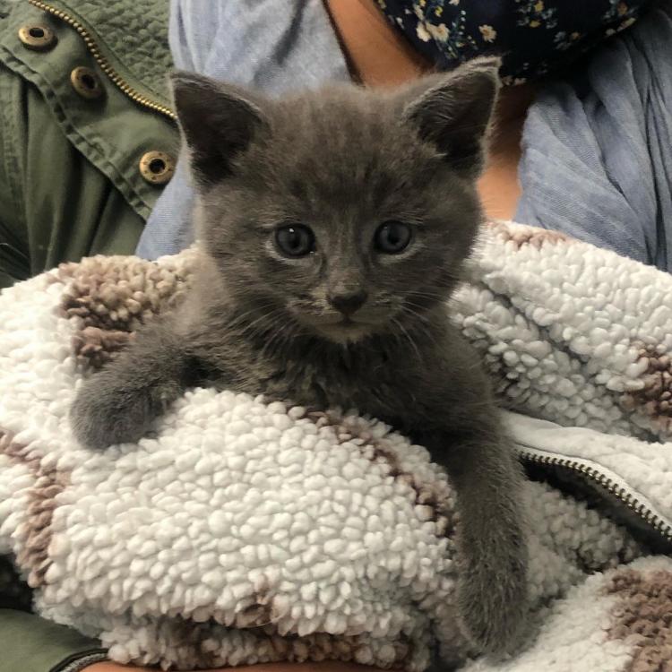 practice gallery photo