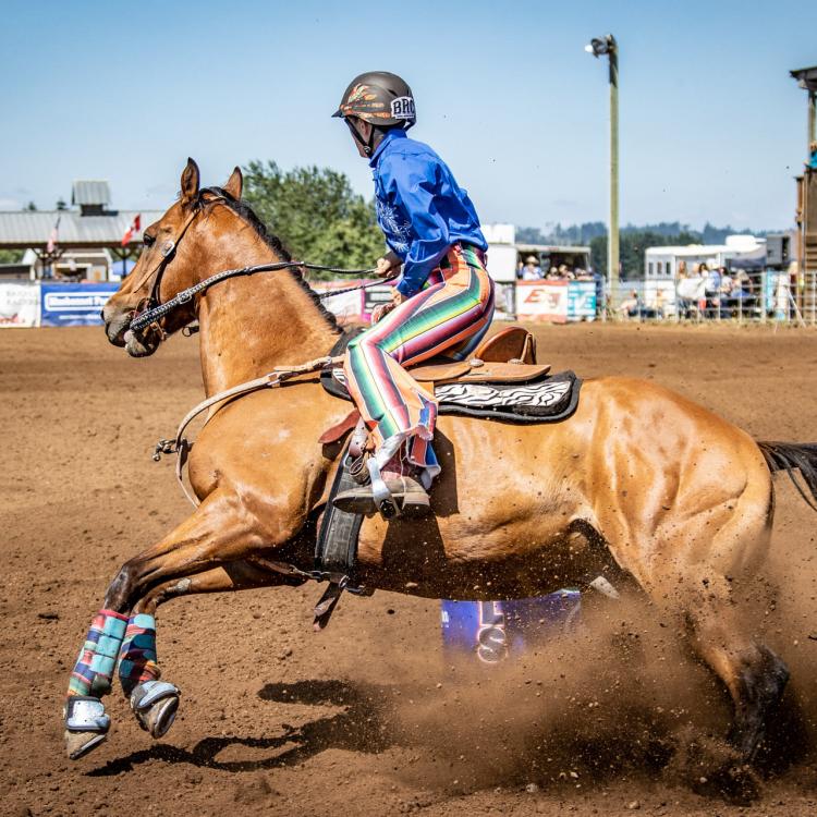 Oakhurst Equine Veterinary Services – Newberg, OR Oakhurst Equine Veterinary Services – Newberg, OR