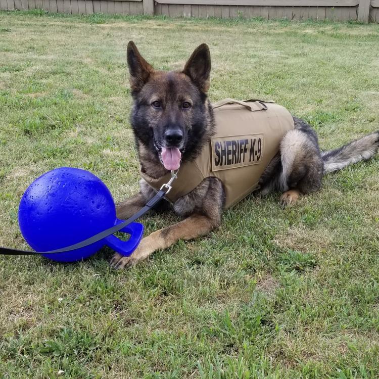 practice gallery photo