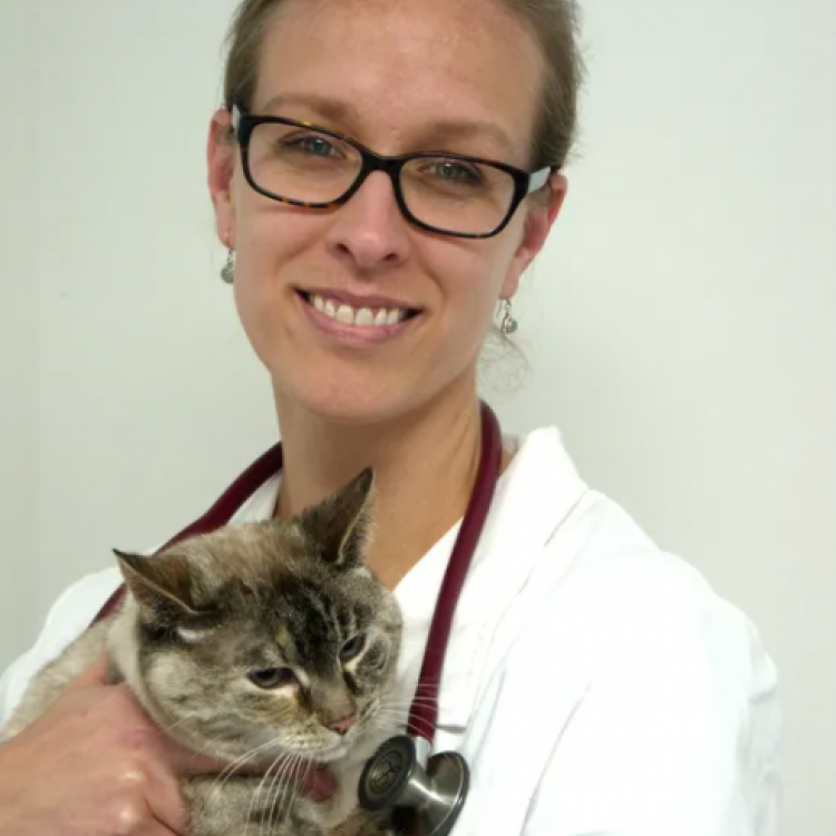 Apple Valley Animal Hospital – Dayton, OH Apple Valley Animal Hospital – Dayton, OH