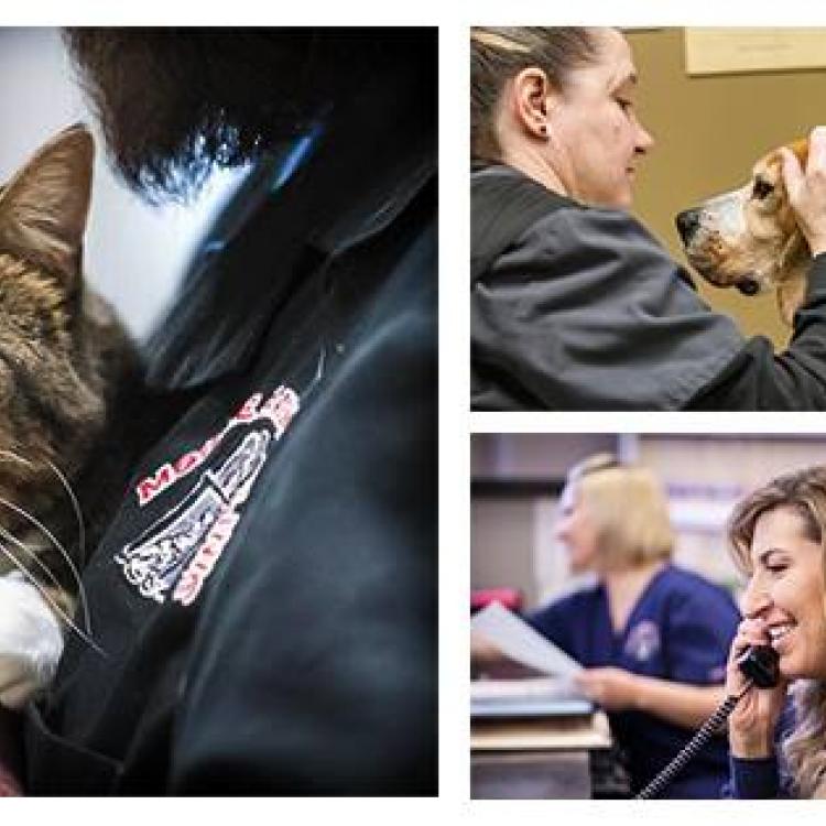 Prairie Lane Veterinary Hospital Omaha, NE