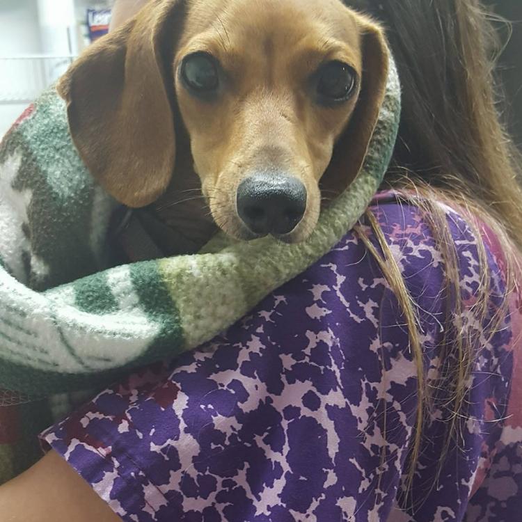 River Valley Veterinary Center – Winston, OR River Valley Veterinary Center – Winston, OR