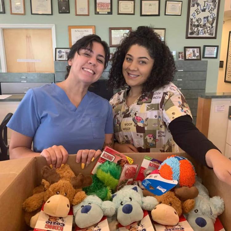 Underhill Animal Hospital – Orlando, FL Underhill Animal Hospital – Orlando, FL